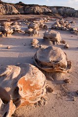 18_Bisti Wilderness__12